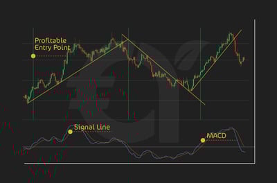 How to set SL and TP using the MACD Indicator